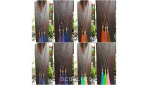 wholesale lot free shipping buddha head chrome tassels necklaces